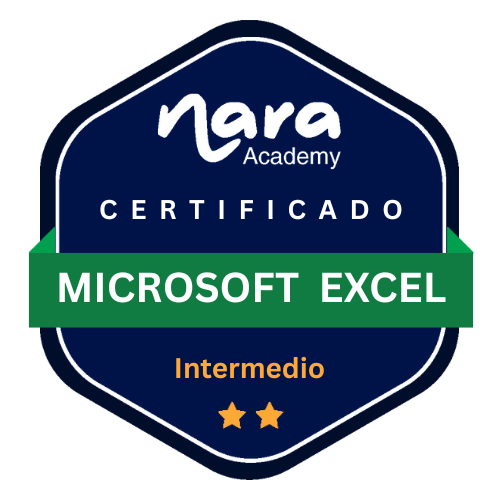 NA49 - Excel Intermedio CCN